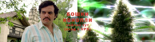 a pvp Бородино