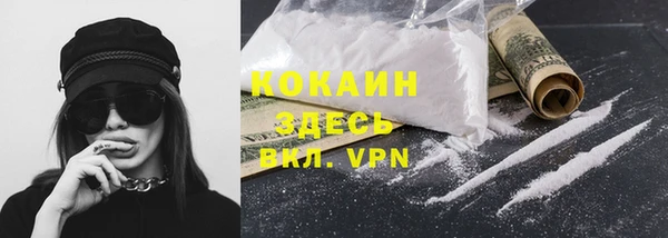 a pvp Бородино