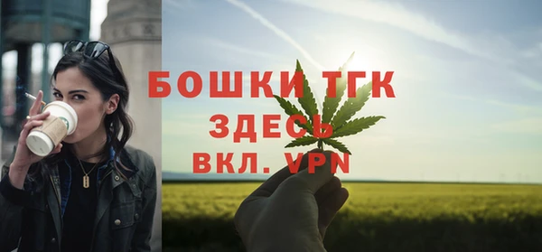 a pvp Бородино