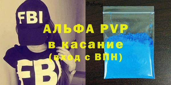 a pvp Бородино