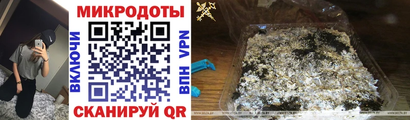 Псилоцибиновые грибы Psilocybine cubensis Нерюнгри