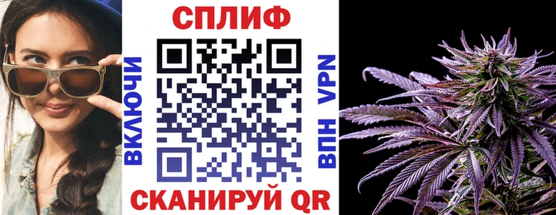 гидра ссылки  Нерюнгри  Каннабис индика 